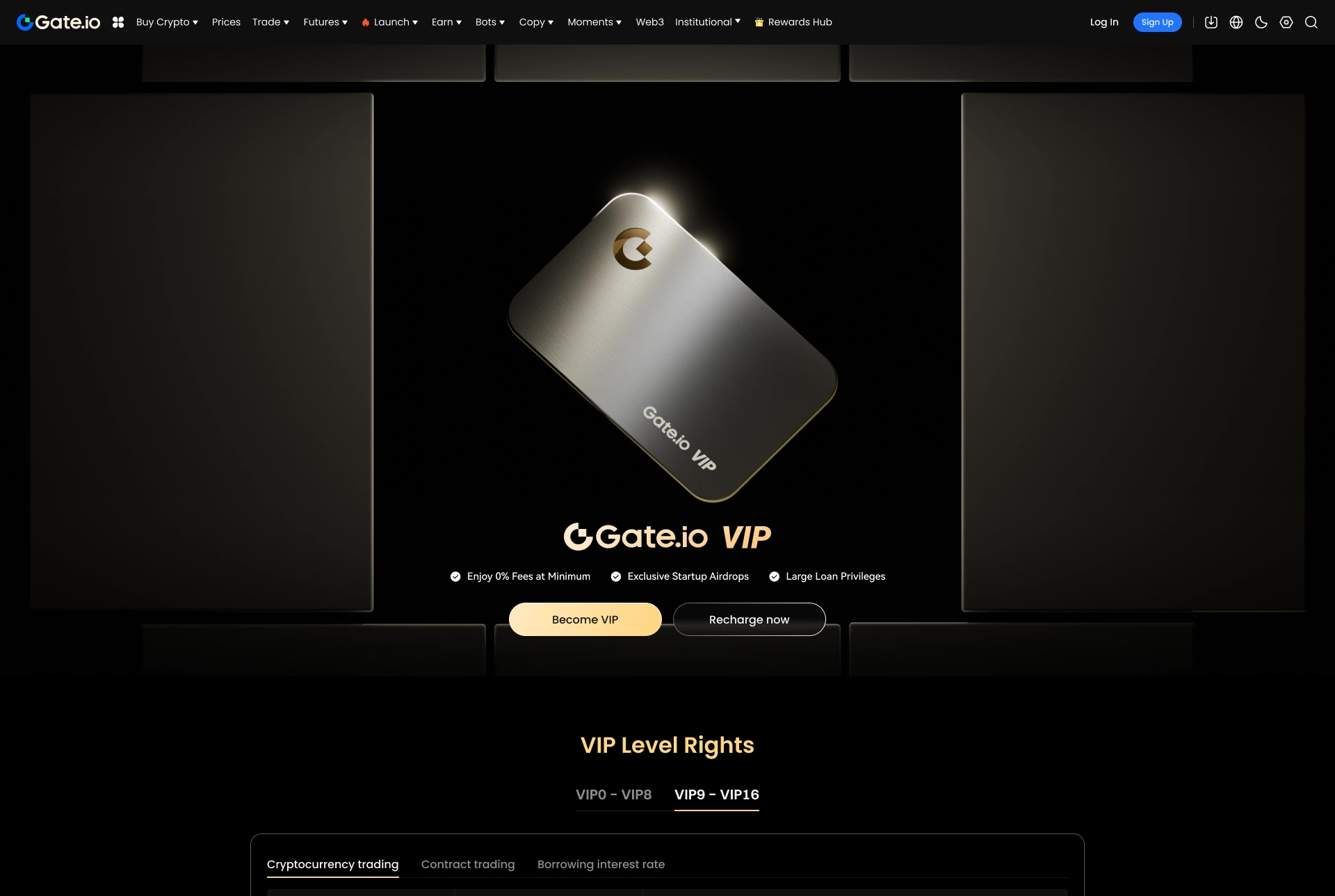 VIP rights page with card hero, direction B